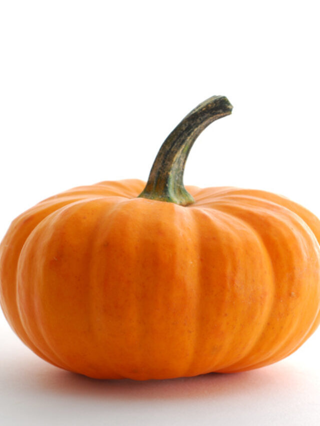 How to Preserve Pumpkins for Décor or Storage