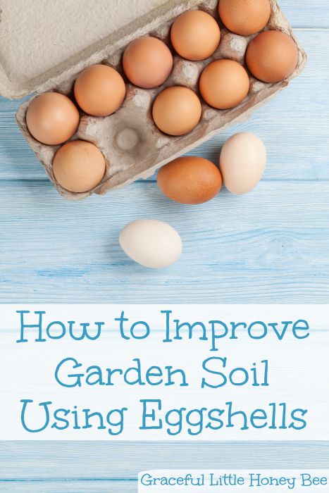 Improve Garden Soil Using Eggshells | 20 Garden Tips And Hacks That Will Help You Become a Gardening Expert