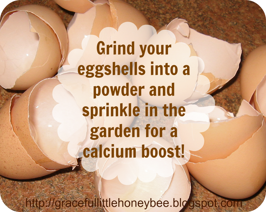 Improve Your Garden Soil Using Eggshells