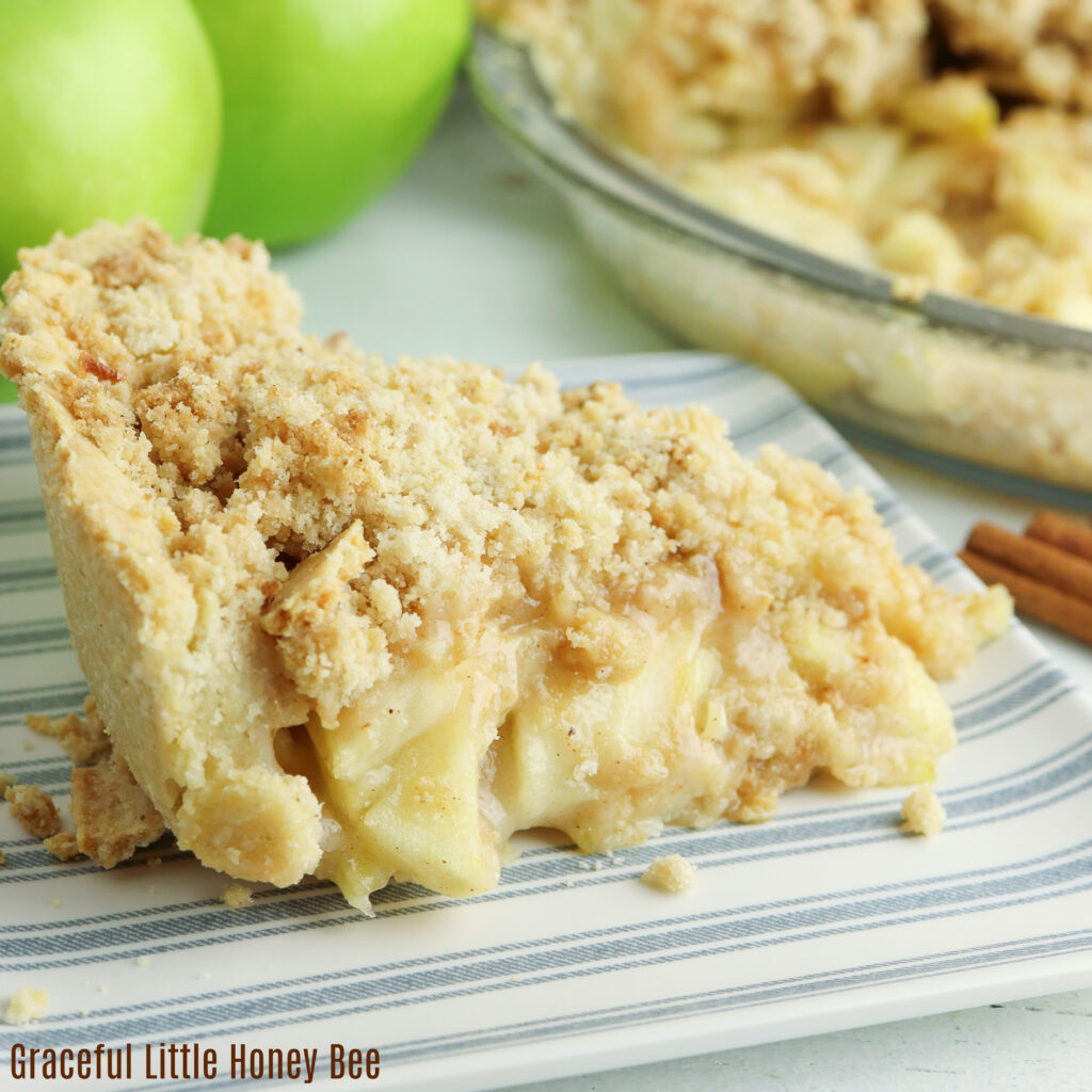 A close up view of a slice of apple pie.