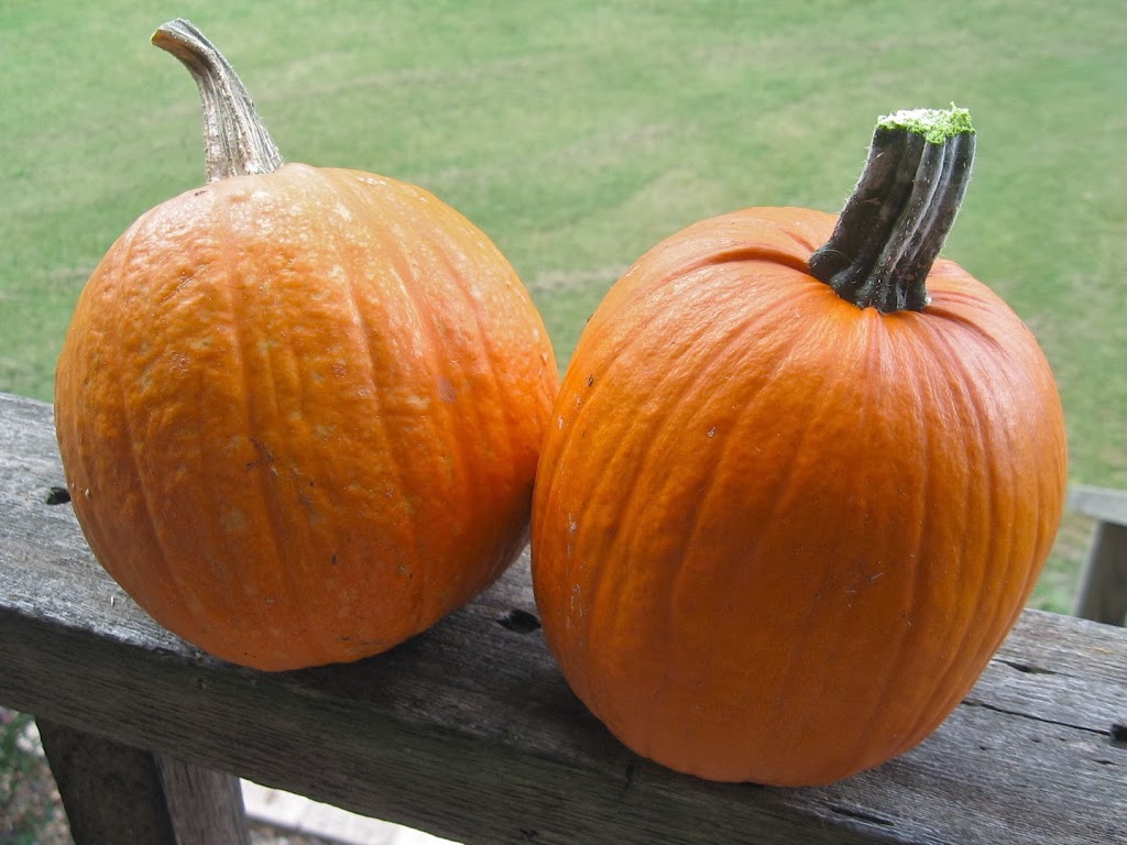 How to Make Pumpkin Puree