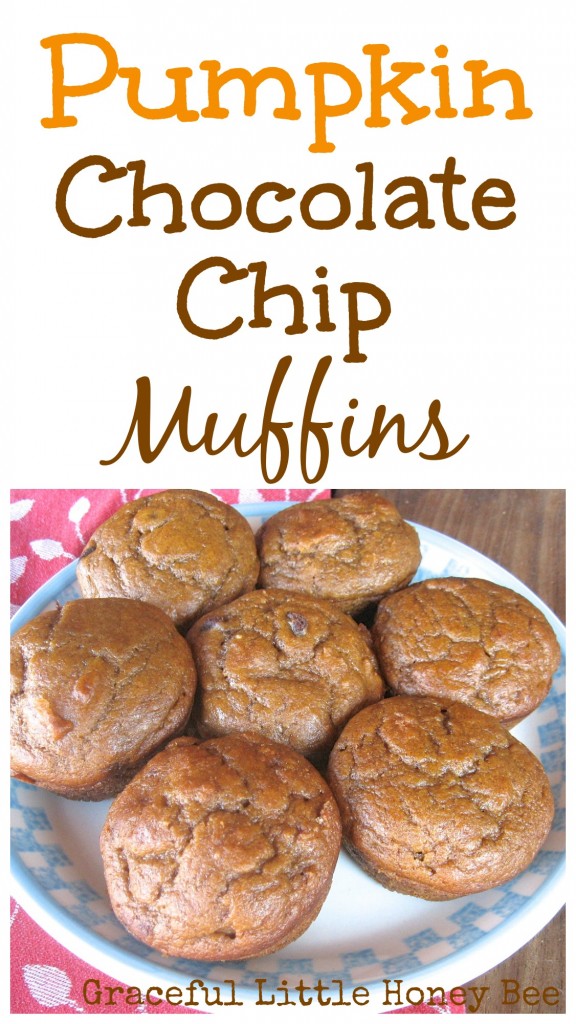 These muffins are so moist and delicious that I make them all year long!