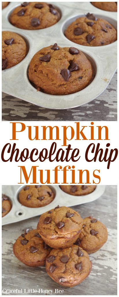 Try these easy and delicious Pumpkin Chocolate Chip Muffins for a fun fall treat on gracefullittlehoneybee.com