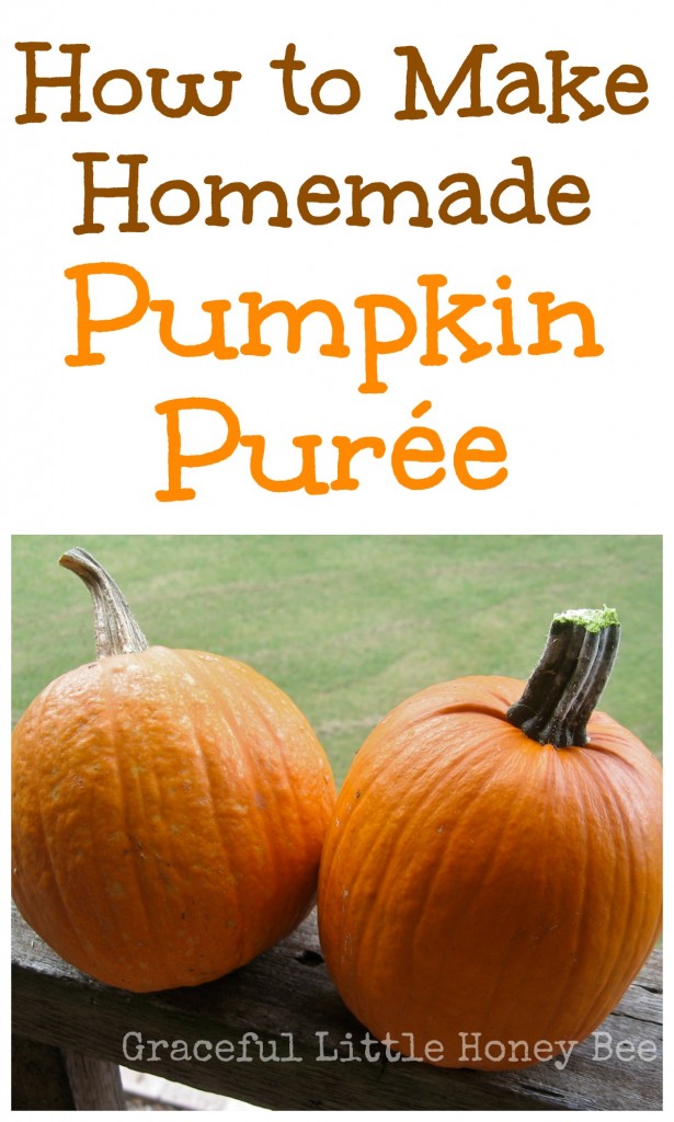 Learn how to make homemade pumpkin purée from pie pumpkins to freeze for use all year long!