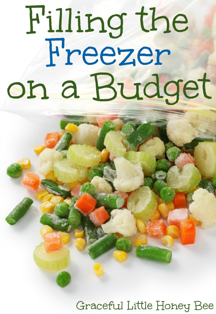 Filling the freezer on a budget on gracefullittlehoneybee.com