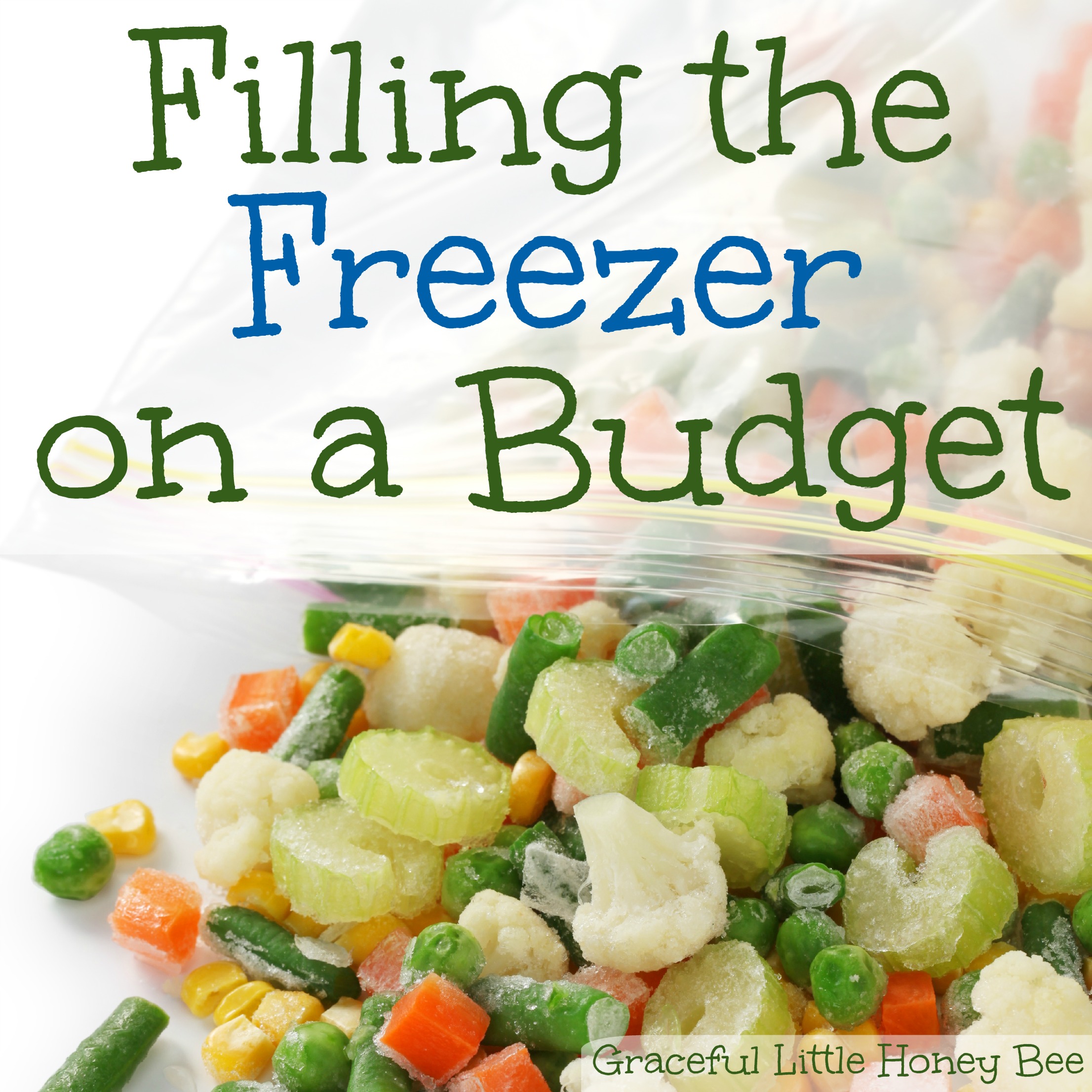 Filling the Freezer on a Budget on gracefullittlehoneybee.com