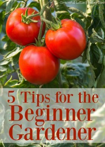 See these 5 easy tips for beginner gardeners on gracefullittlehoneybee.com