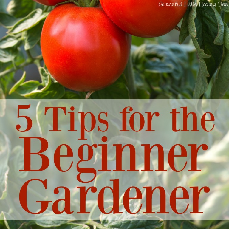 5 Tips for the Beginner Gardener