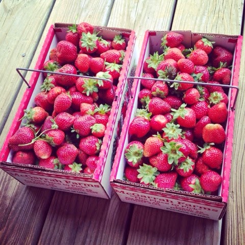 Strawberry Season