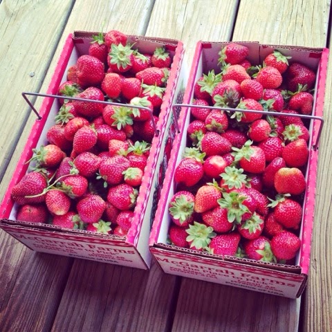 Strawberry Season