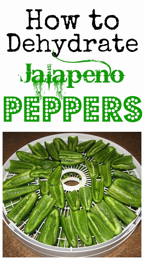 How to Dehydrate Jalapeño Peppers