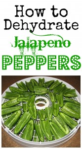 How to Dehydrate Jalapeños on gracefullittlehoneybee.com