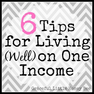 livingononeincome