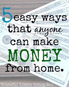 5 Easy Ways that Anyone Can Make Money from Home on gracefullittlehoneybee.com