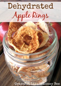 Dehydrated Apple Rings on gracefullittlehoneybee.com