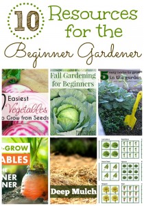 10 Resources for the Beginner Gardener on gracefullittlehoneybee.com