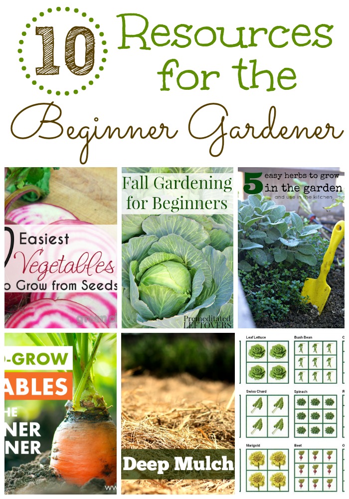 10 Resources for the Beginner Gardener