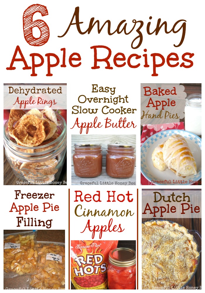 6 Amazing Apple Recipes