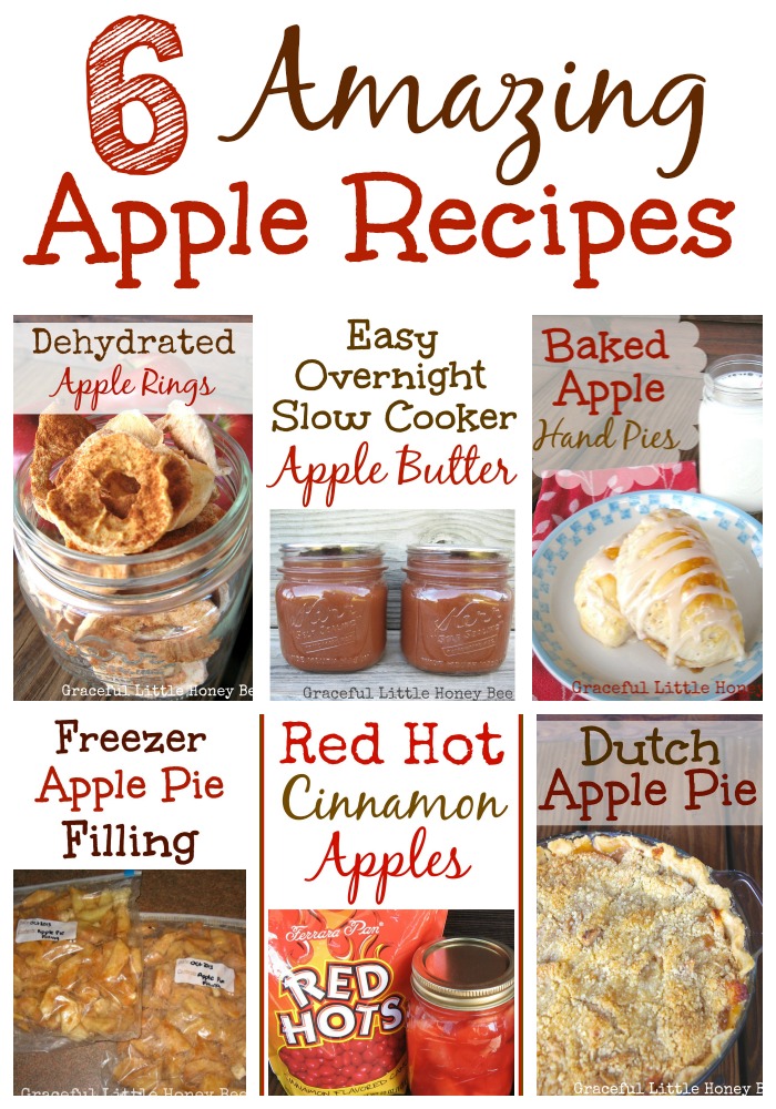 6 Amazing Apple Recipes on gracefullittlehoneybee.com