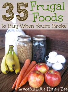 Here are 35 of the most frugal and relatively healthy foods that money can buy. Regularly menu planning around this list will help you to save money and stay within your budget.