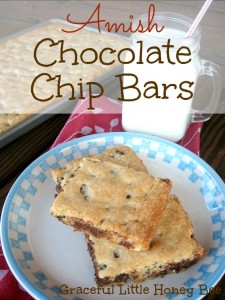 These chocolate chip bars are adapted from an old Amish Cookbook and they taste AMAZING!