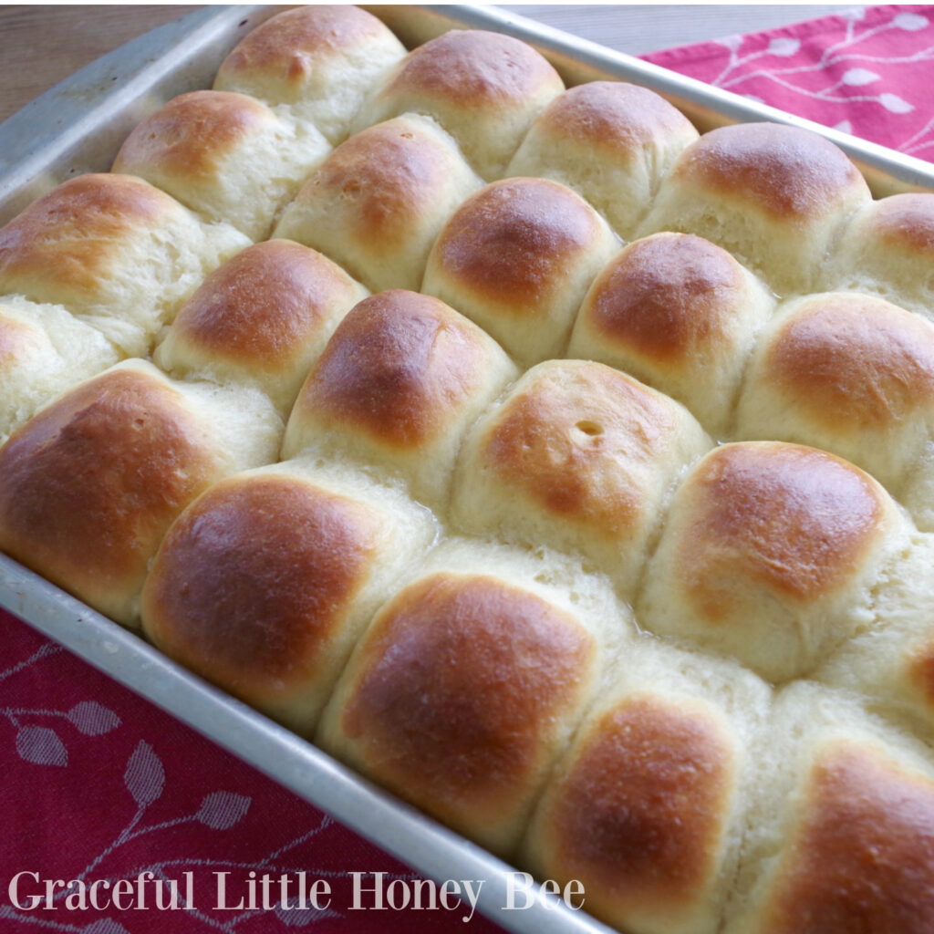 Dinner rolls in a pan.