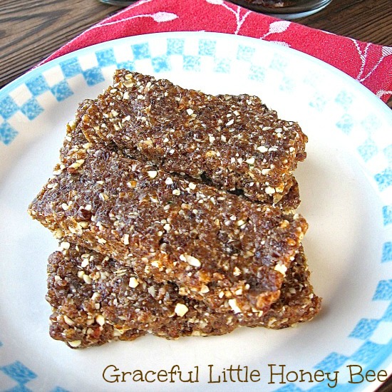 Homemade Energy Bars