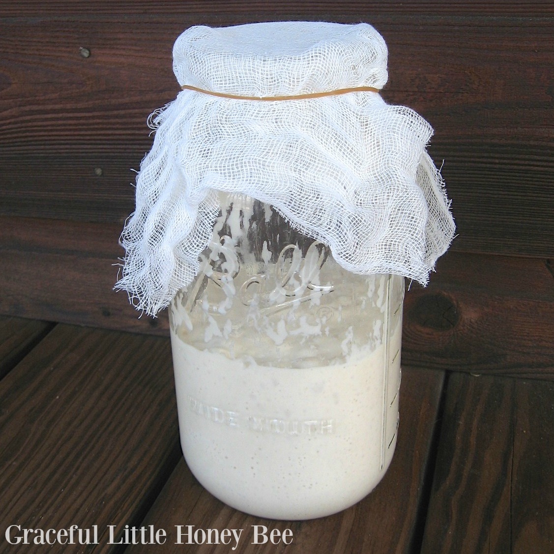 Sourdough Starter in a mason jar.