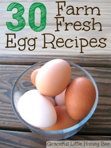 30 Farm Fresh Egg Recipes on gracefullittlehoneybee.com