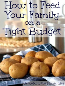 How to Feed Your Family on a Tight Budget on gracefullittlehoneybee.com