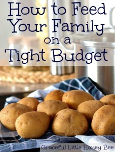 How to Feed Your Family on a Tight Budget on gracefullittlehoneybee.com