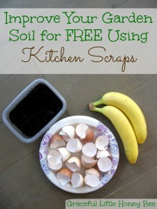 Improve your garden soil for free using kitchen scraps on gracefullittlehoneybee.com