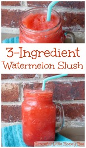 3-Ingredient Watermelon Slush on gracefullittlehoneybee.com