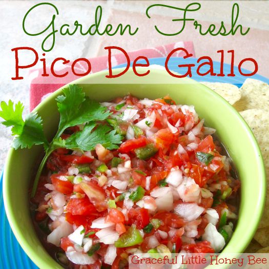 Garden Fresh Pico De Gallo at gracefullittlehoneybee.com