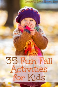 Check out these fun activities to do with your family this Fall on gracefullittlehoneybee.com