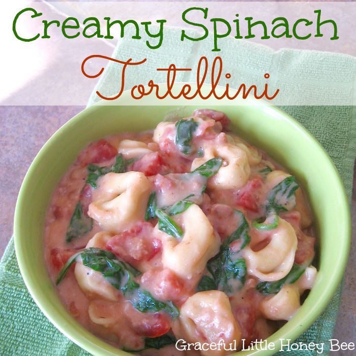 Creamy Spinach Tortellini