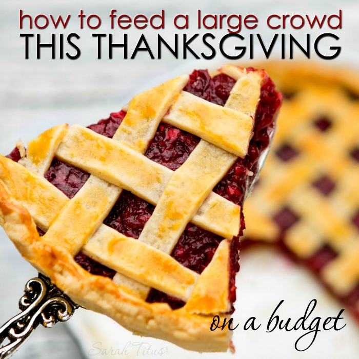 How to Feed a Large Crowd This Thanksgiving on a Budget @SarahTitus.com