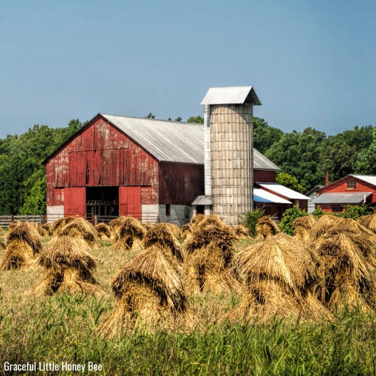 Old-Fashioned Frugal Lessons From The Amish Lifestyle