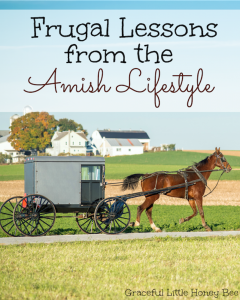 See this list of Frugal Lessons that we can learn from the Amish Lifestyle on gracefullittlehoneybee.com