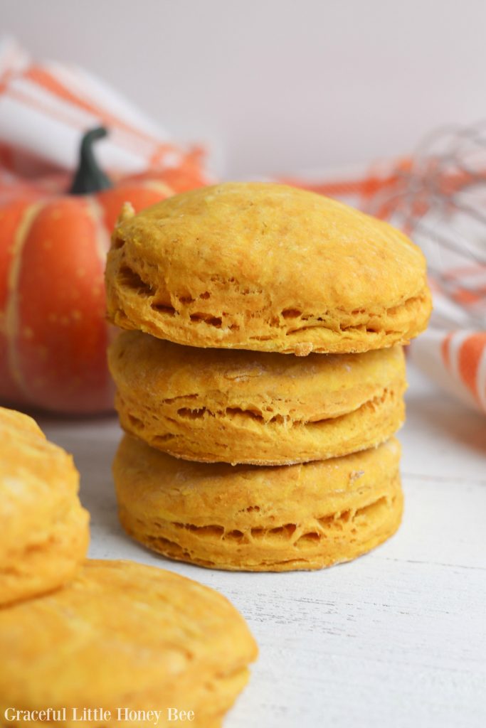 Try these super delicious Homemade Pumpkin Biscuits for a fun fall treat or side dish to any weeknight meal on gracefullittlehoneybee.com