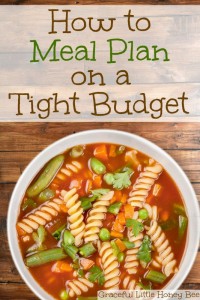 See how to meal plan on a tight budget on gracefullittlehoneybee.com