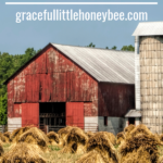 Red Amish barn with a field of hay.