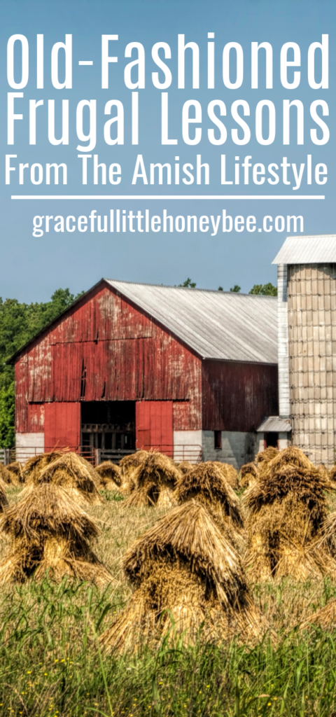 Red Amish barn with a field of hay.