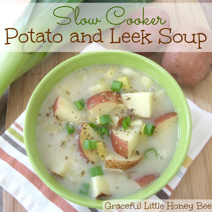Slow Cooker Potato and Leek Soup