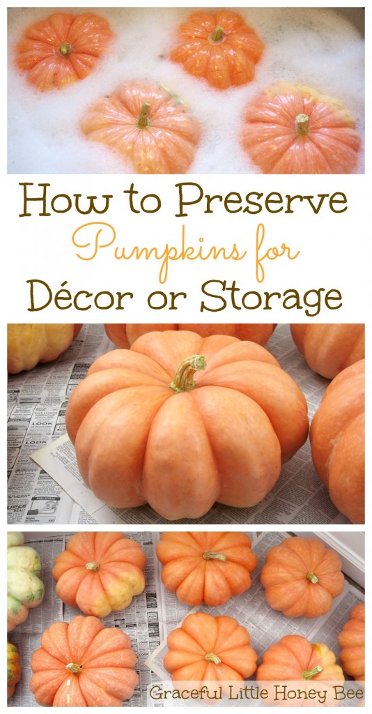 Learn how to preserve your pumpkins and make them last longer for décor or storage on gracefullittlehoneybee.com