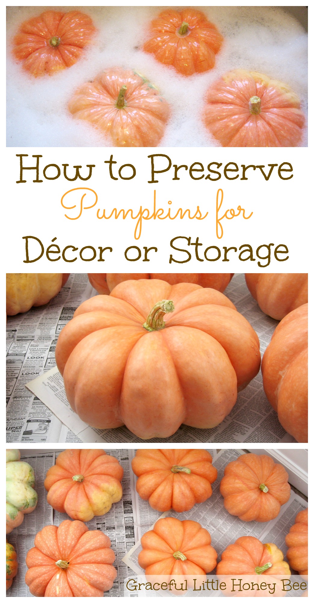 How to Preserve Pumpkins for Décor or Storage