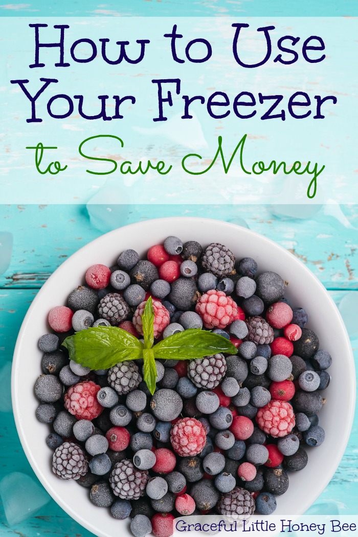 How to Use Your Freezer to Save Money Graceful Little Honey Bee