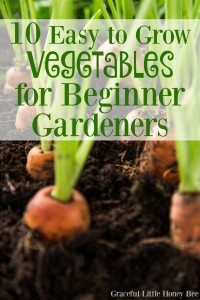 Check out this list of easy to grow vegetables for beginner gardeners. #10 is my favorite!