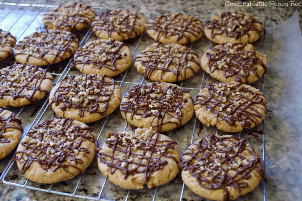 Chocolate Drizzled Peanut Butter Cookies on gracefullittlehoneybee.com 