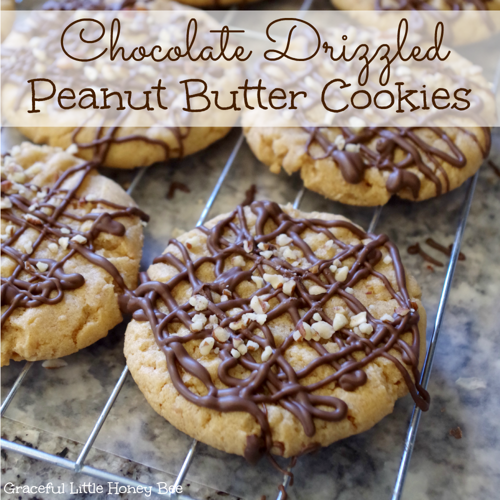 Chocolate Drizzled Peanut Butter Cookies